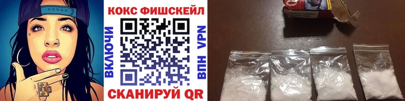 это наркотические препараты  Сковородино  Cocaine FishScale  где найти  