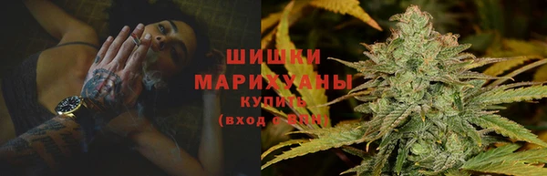 ГАЛЛЮЦИНОГЕННЫЕ ГРИБЫ Баксан