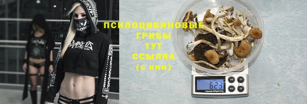 ГАЛЛЮЦИНОГЕННЫЕ ГРИБЫ Баксан