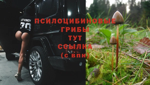 ПСИЛОЦИБИНОВЫЕ ГРИБЫ Балабаново