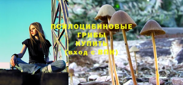 ПСИЛОЦИБИНОВЫЕ ГРИБЫ Балабаново
