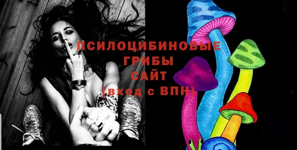 ПСИЛОЦИБИНОВЫЕ ГРИБЫ Балабаново